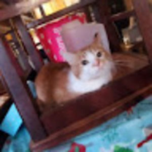 Meet your Posher, Brendan